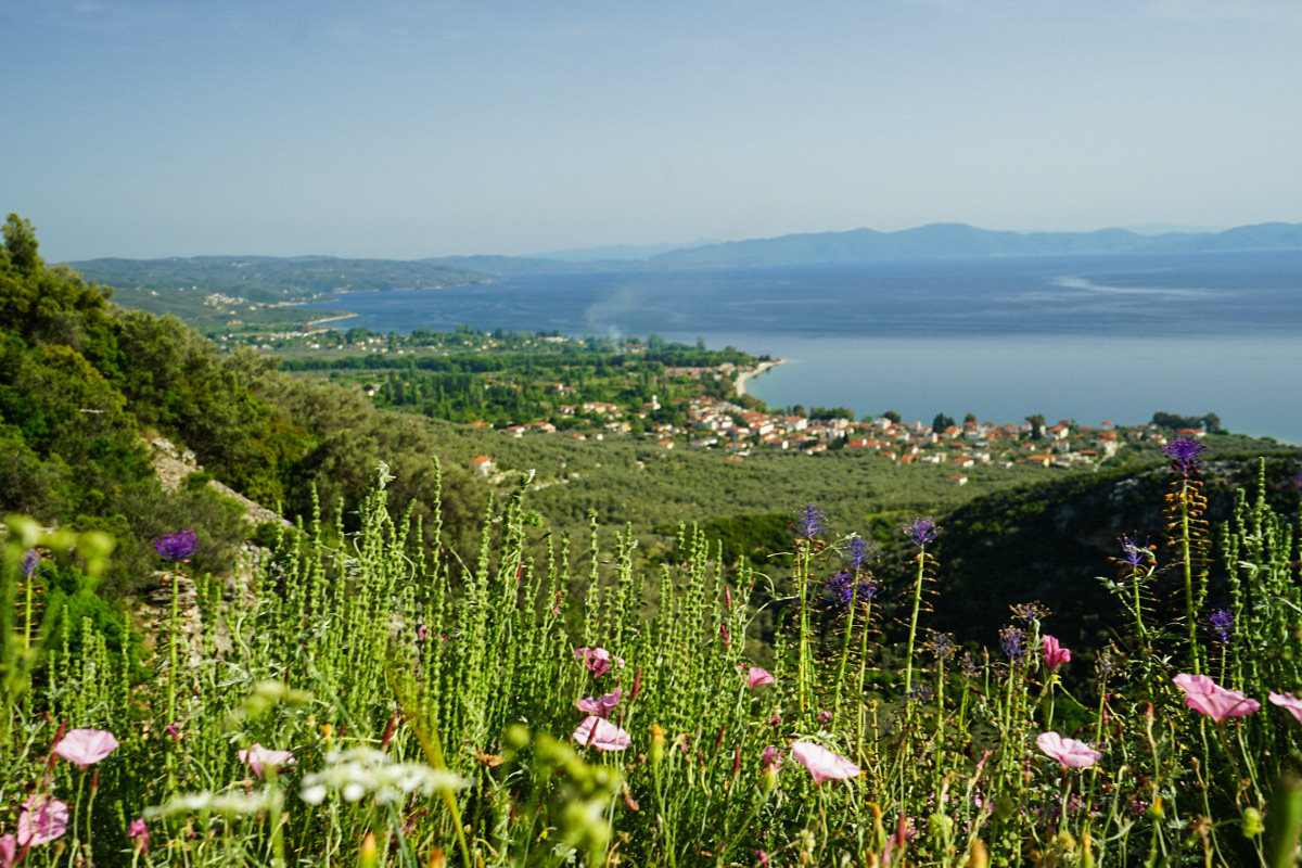 Violette und rosa Blüten, grüne Hügel, Küstenort und Golf, Schienenwanderung, Pelion, Pilion, Griechenland