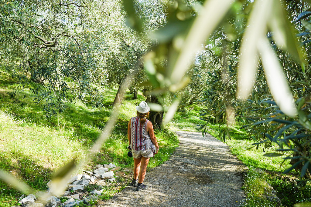 Steffi läuft zwischen Olivenbäumen, Schienenwanderung, Pelion, Pilion, Griechenland