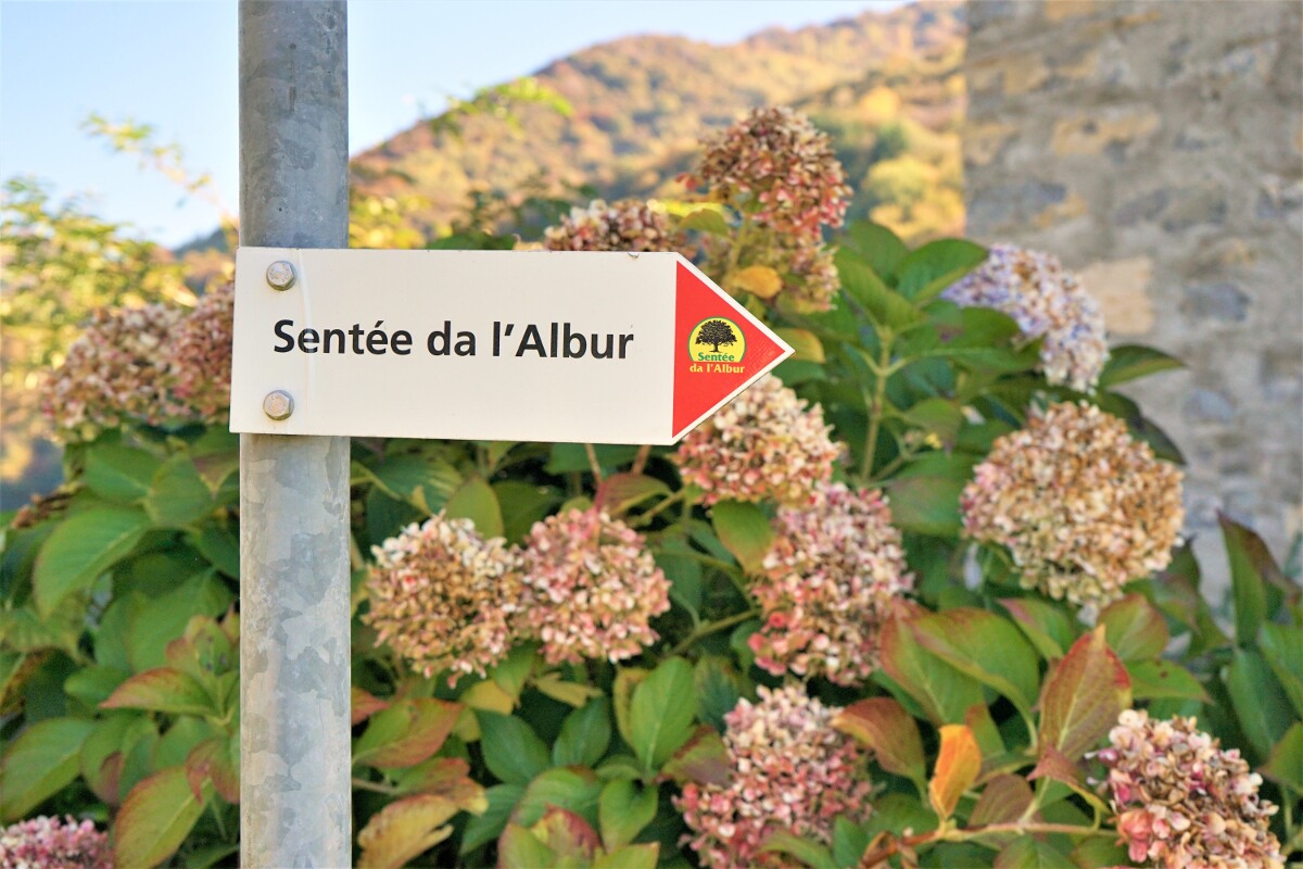 Sentee de L'Albur - Maron-Lehrpfad