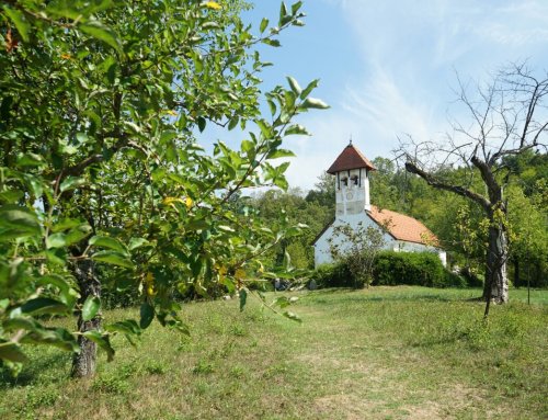 Bela Krajina – 8 Tipps für den Osten Sloweniens