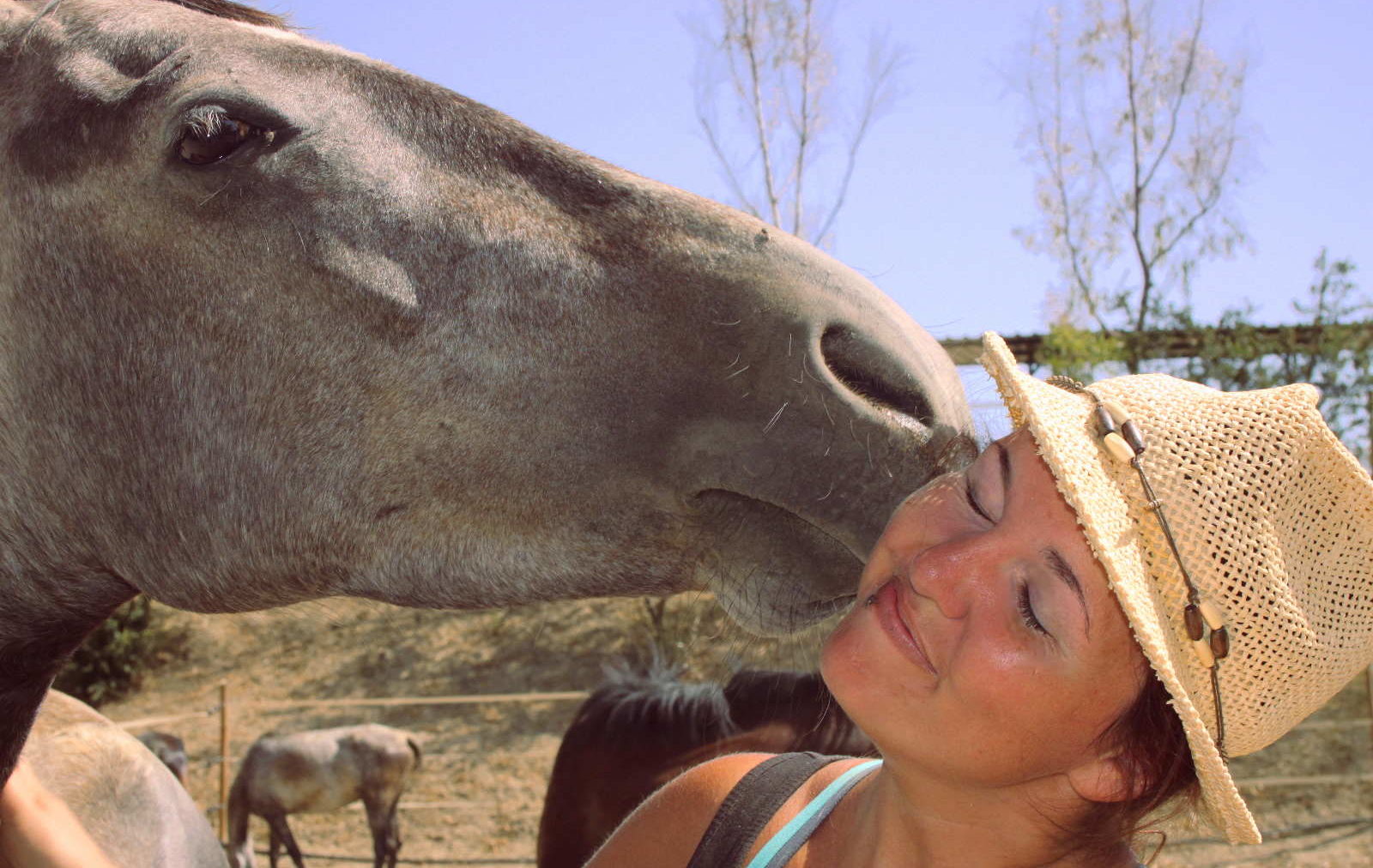 Fohlen gibt Steffi Kuss auf Backe - Freiwilligenarbeit