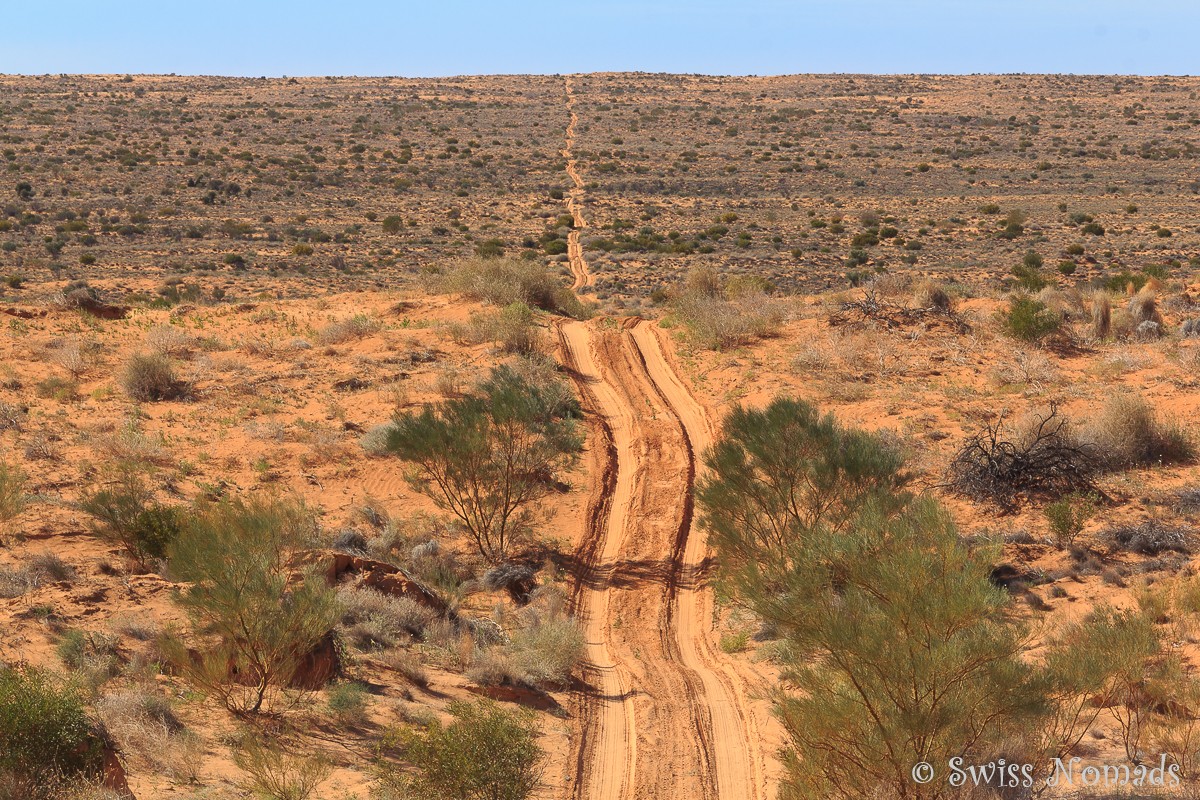 Simpson Wüste 