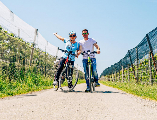 Velo-Rallye durch die Ostschweiz – Radtouren am Bodensee