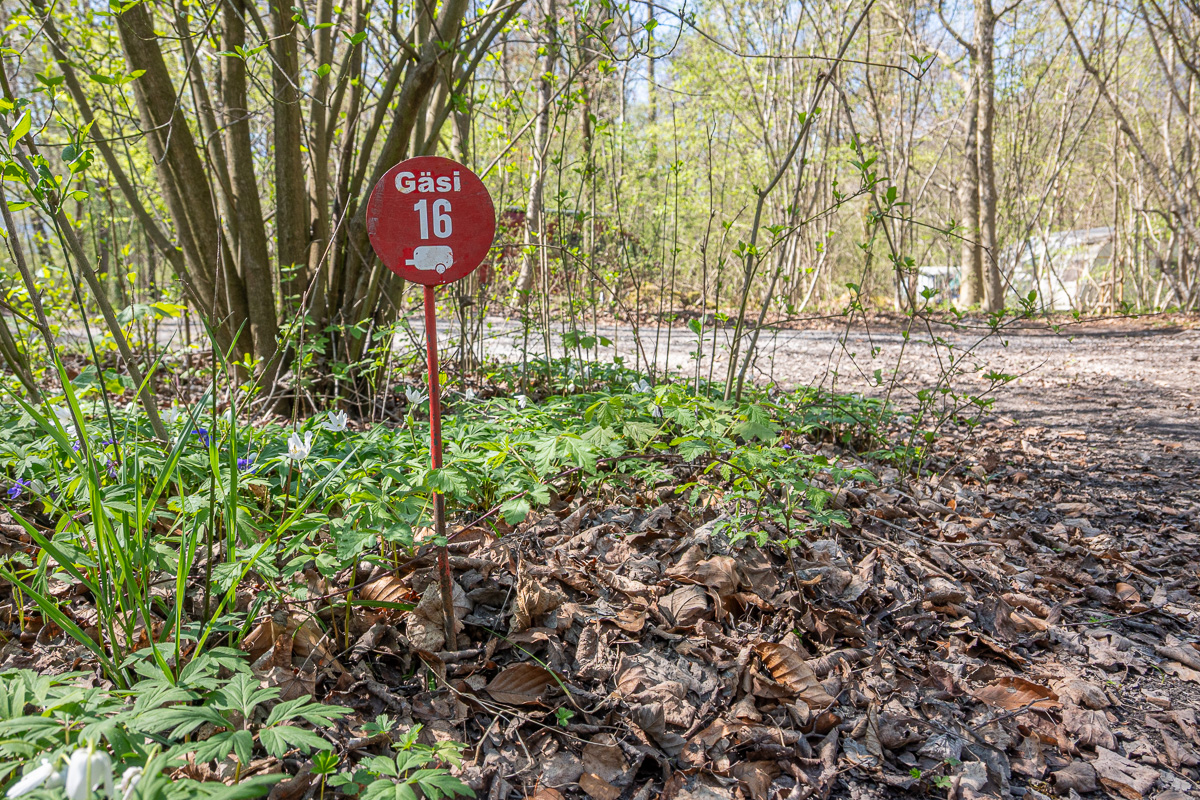 Schweiz_Gaesi_April_2025_skaliert (3 von 7)